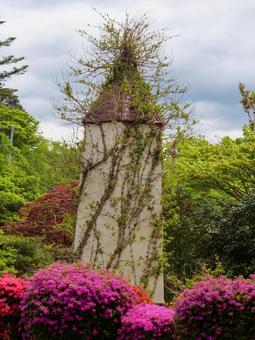 塔 風景,自然,花の写真素材