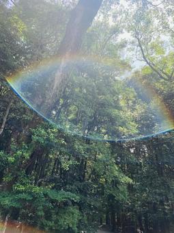 自然 自然の写真