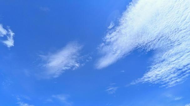 青のキャンバス-20 青のキャンバス-20の写真
