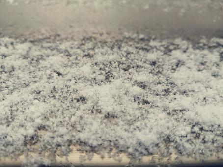 雪 雪の写真