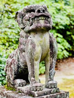 白石神社 白石神社,神社仏閣,神社の写真素材