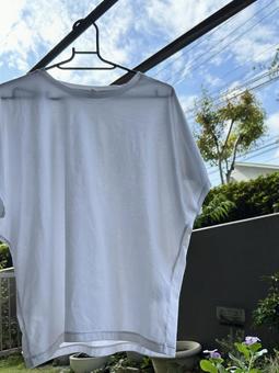洗濯日和の青空と白いTシャツ 洗濯日和の青空と白いTシャツの写真