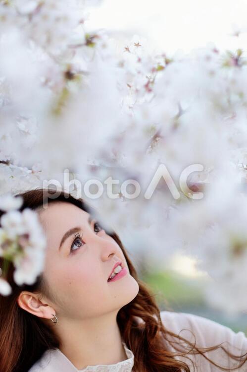 桜と派手目なメークの日本人女性5 女性,日本人,アジア人の写真素材