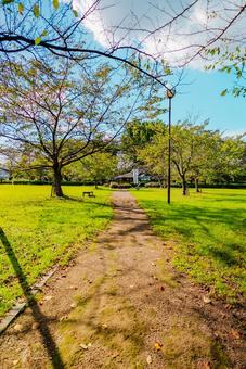 【山形】山形駅の周辺 山形城跡 霞城公園 【山形】山形駅の周辺 山形城跡 霞城公園 山形城跡,城跡,山形の写真素材