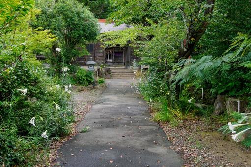 宇那禰神社⑶ 宇那禰神社⑶の写真
