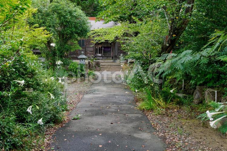 宇那禰神社⑶ 神社,宇那禰神社,神社仏閣の写真素材