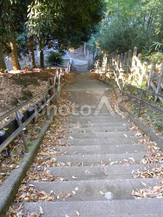落ち葉がある階段 コンクリート,秋,落ち葉の写真素材