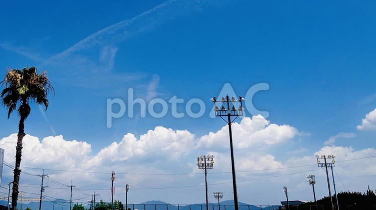 夏の日のスタジアム 夏,夏のイメージ,夏の風景の写真素材