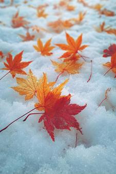 美しい雪化粧の紅葉の葉の写真