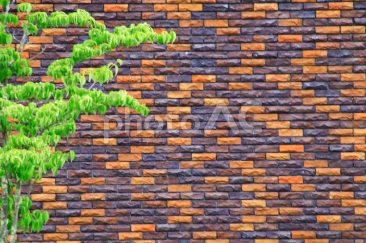 タイルの背景素材 背景,タイル,木目の写真素材