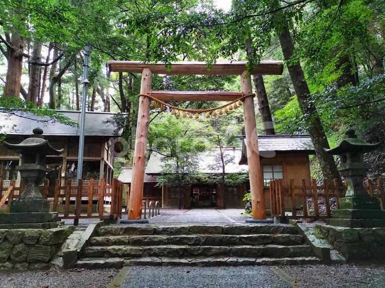 宮崎県高千穂町　八大龍王水神　本殿 八大龍王水神,高千穂町,龍神の写真素材