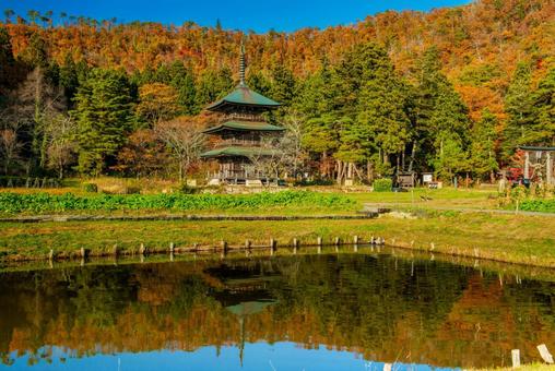 晩秋の安久津八幡神社の三重塔 公園,紅葉,黄色の写真素材