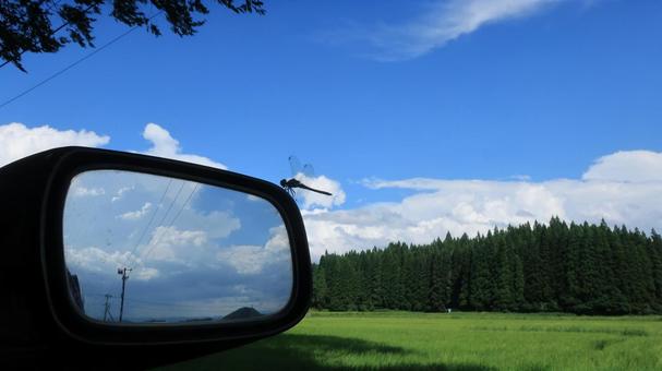 Photo, blue sky, summer sky, dragonfly, 