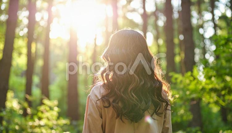 森の光とウェーブヘア 女性,日本人,森の写真素材