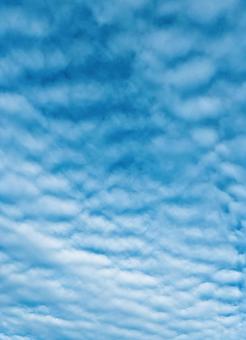 鱗雲 鱗雲の写真