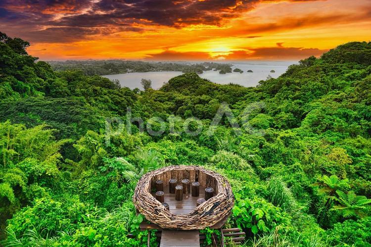 沖縄北部の風景 沖縄,北部,森の写真素材