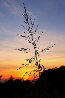 初秋の夕暮れ 初秋の夕暮れの写真