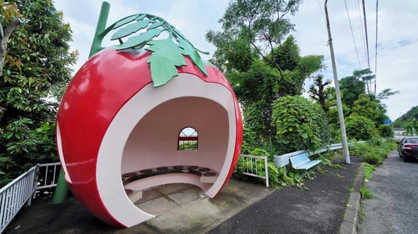 トマトバス停 トマトバス停の写真