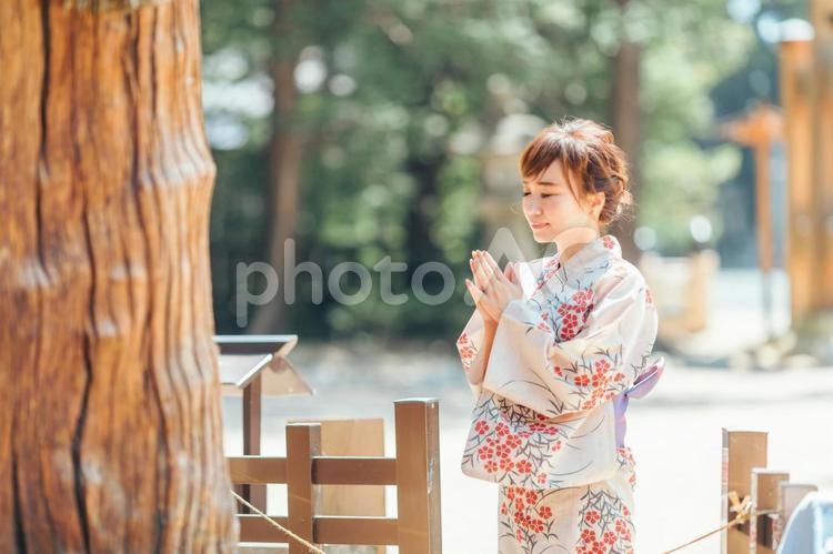 御神木に拝む浴衣を着た女性 ご神木,神社,お参りの写真素材