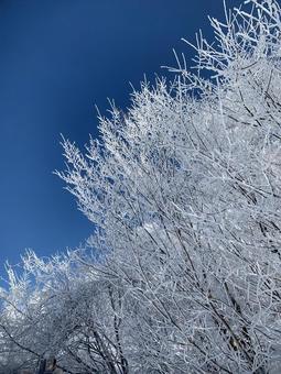Winter sunny weather, JPG