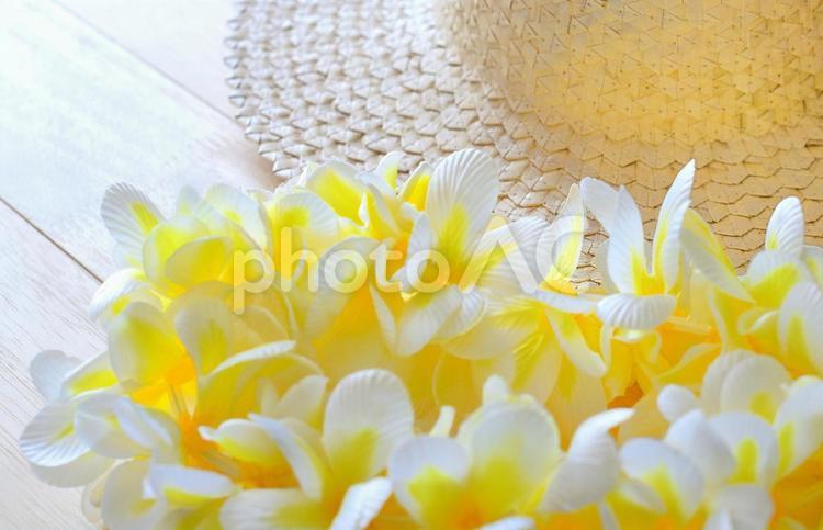 黄色のレイも好き フラダンス,フラ,レイの写真素材