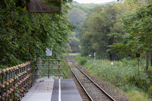 森の中に伸びる線路と無人のホーム 森の中に伸びる線路と無人のホーム 釧路湿原駅,鉄道,ホームの写真素材