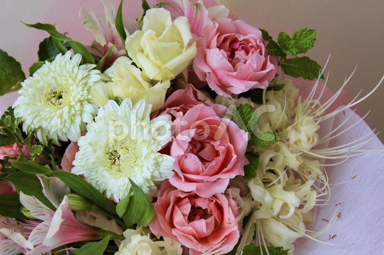 ピンクのバラと白いガーベラの花束 バラ,花,ピンクの写真素材