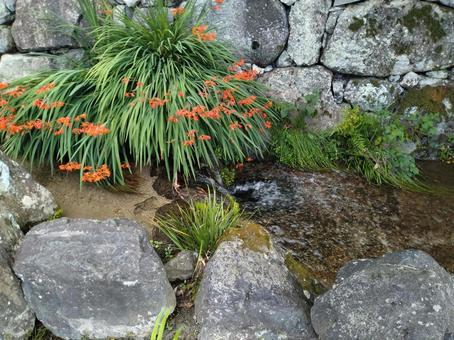 小川の流れ 小川,せせらぎ,流れの写真素材