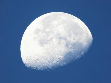 朝の月　2025 11/10 天体,空,月の写真素材