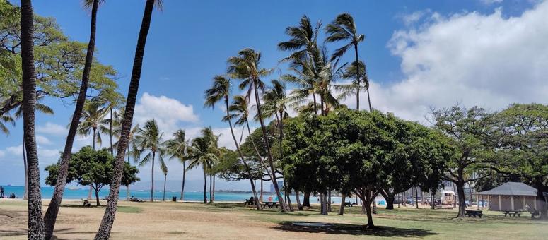美しいビーチの風景 美しいビーチの風景 ハワイ,ビーチ,海の写真素材