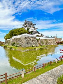 岸和田城 大阪,大阪府,岸和田の写真素材