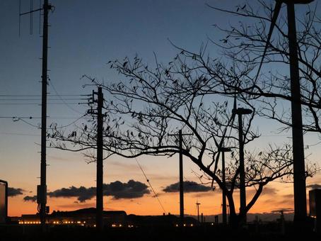 夕焼け 自然,幻想的,風景の写真素材