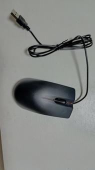 有線タイプの光学式マウス マウス,光学式マウス,有線の写真素材