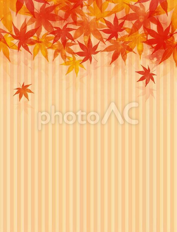 秋のイメージ　背景01 紅葉,葉っぱ,葉の写真素材