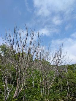 Photo, sky, landscape, natural, 