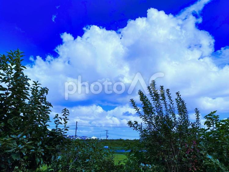 よこはま田園地域の風景 空,青い空,風景の写真素材