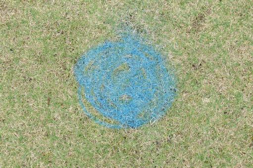 Photo, lawn, grassland, ground, 