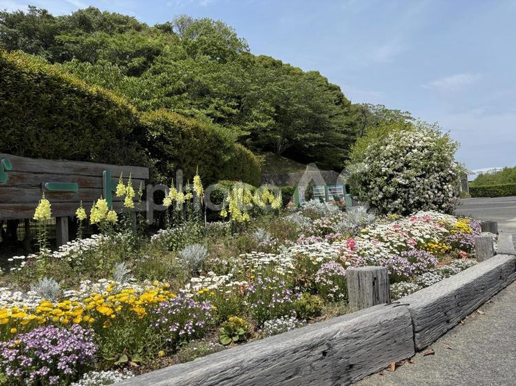 花壇 花壇,寄せ植え,花の写真素材