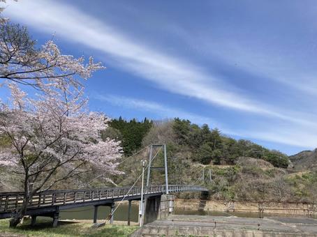 春 春 師田原ダム,豊後大野市,大野町の写真素材