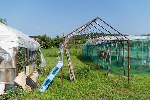ビニールハウス 夏,原っぱ,原野の写真素材