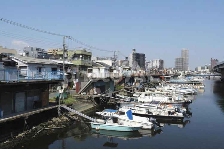 横浜の子安漁港の風景 子安漁港,横浜,神奈川県の写真素材