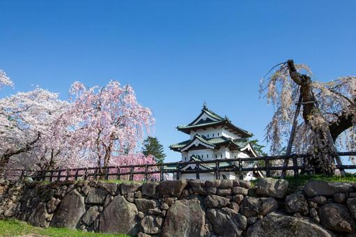 弘前城の桜 弘前城の桜の写真