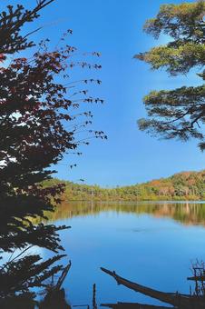 白駒の池 秋 紅葉 白駒の池 秋 紅葉 白駒の池,秋,紅葉の写真素材