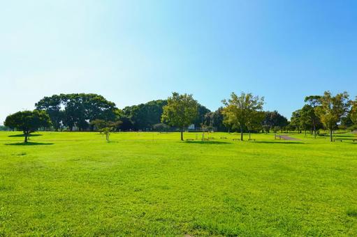 グランドゴルフ場(筑後広域公園) グランドゴルフ場(筑後広域公園)の写真
