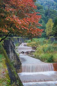 紅葉と渓流 紅葉と渓流 北海道,紅葉,秋の写真素材