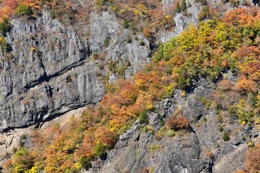 岩肌と紅葉 岩山,岩肌,紅葉の写真素材