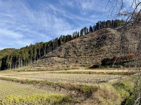 11月　秋の福井県坂井市山奥の景色 自然,山,福井県の写真素材