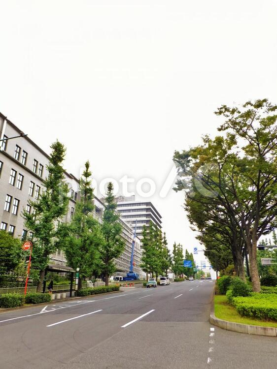 霞が関の風景14 霞が関,虎ノ門,無人の写真素材