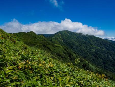 白砂山 白砂山の写真