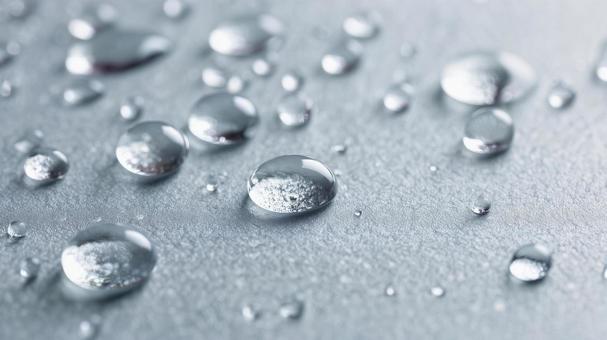シルバートーンに浮かぶ水滴 雫 一粒 シルバートーンに浮かぶ水滴 雫 一粒の写真